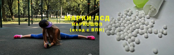 стаф Аркадак