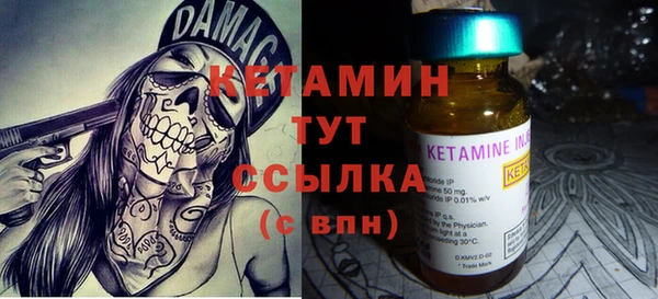 стаф Аркадак