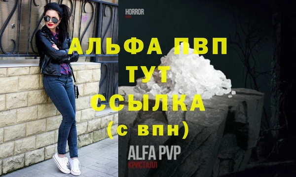 стаф Аркадак