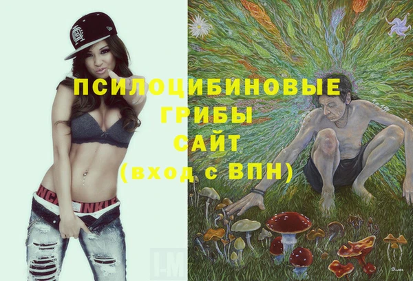 дурь Арсеньев