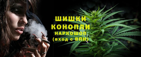 стаф Аркадак