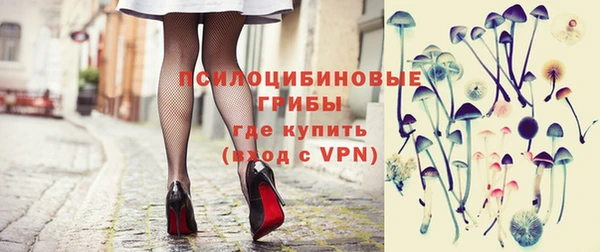 стаф Аркадак