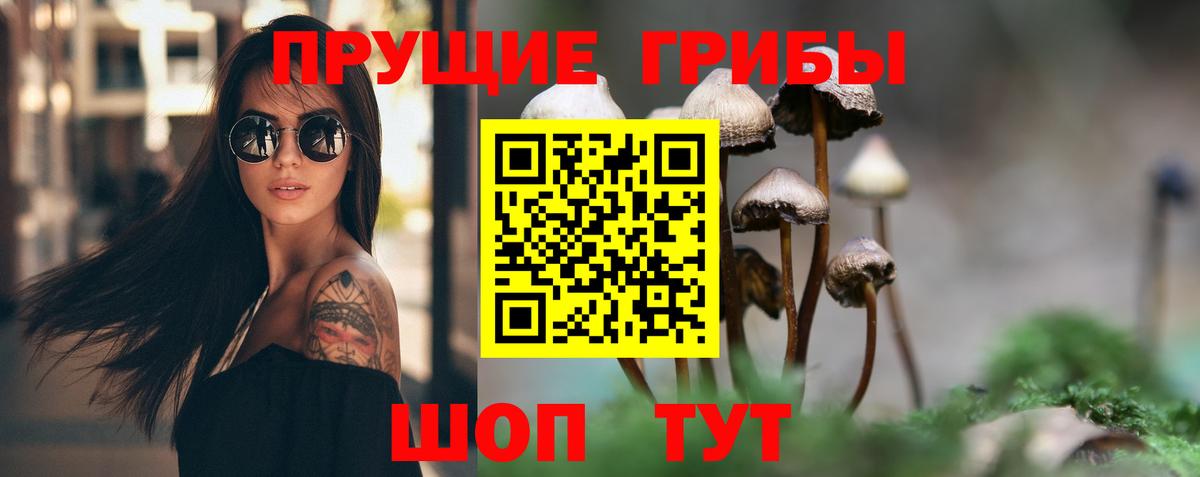Лянтор  Псилоцибиновые грибы Magic Shrooms  Вход с VPN 
